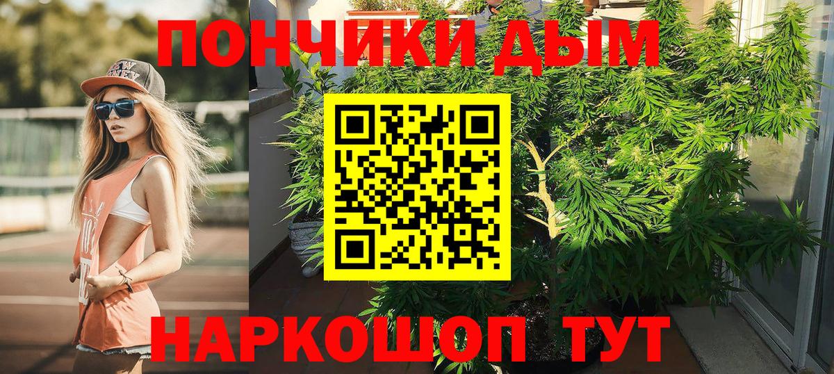 Бошки Шишки семена Крымск